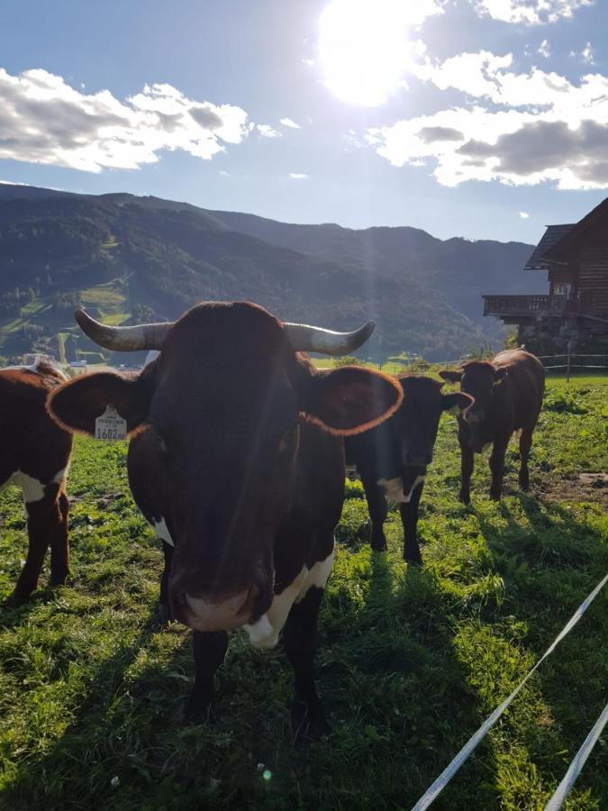 Huettenferien Koeberlhof Sankt Georgen ob Murau Ngoại thất bức ảnh